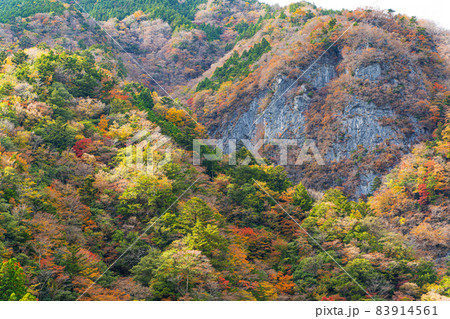 【徳島県】高の瀬峡の紅葉 【徳島県】高の瀬峡の紅葉 83914561