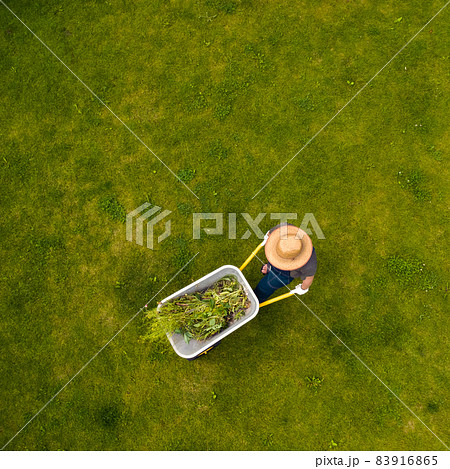 A professional gardener is carrying a wheelbarrow full of grass 83916865