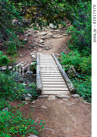 A small walk bridge over a creek on a hiking trail A small walk bridge over a creek on a hiking trail 83917479