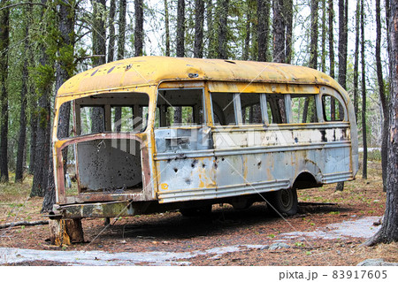 Stripped abandoned bus at a hunters camp on crown land Stripped abandoned bus at a hunters camp on crown land 83917605