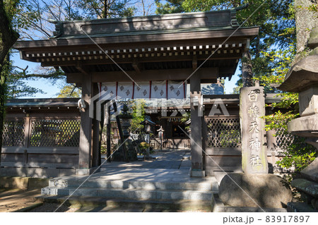 白幡天神社の風景<市川市菅野/11月> 白幡天神社の風景<市川市菅野/11月> 83917897