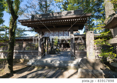 白幡天神社の風景＜市川市菅野/11月＞ 83917898