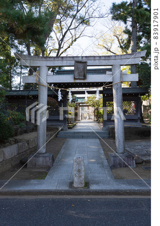 白幡天神社の風景＜市川市菅野/11月＞ 83917901
