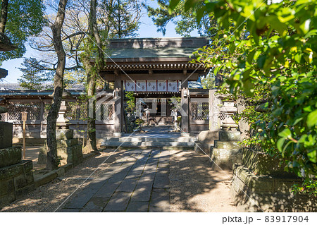 白幡天神社の風景<市川市菅野/11月> 白幡天神社の風景<市川市菅野/11月> 83917904
