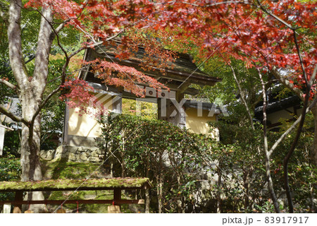 秋のj寂光院 山門 京都市大原 秋のj寂光院 山門 京都市大原 83917917