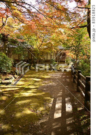 槙尾 西明寺 槙尾 西明寺 83918825