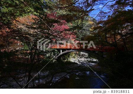 槙尾　西明寺 83918831