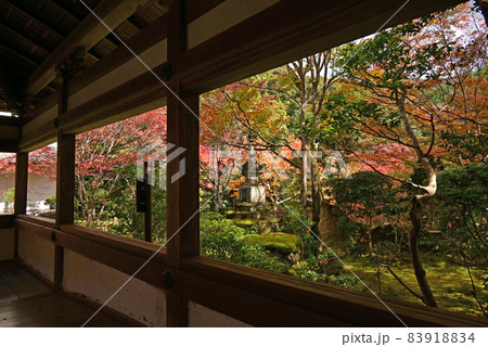 槙尾　西明寺 83918834