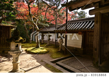槙尾　西明寺 83918868