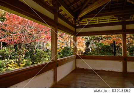 槙尾　西明寺 83918869