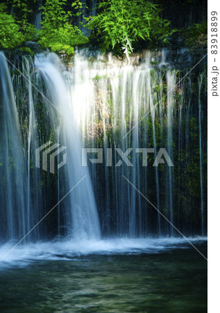 夏の朝日が差し込み始めた軽井沢白糸の滝 83918899