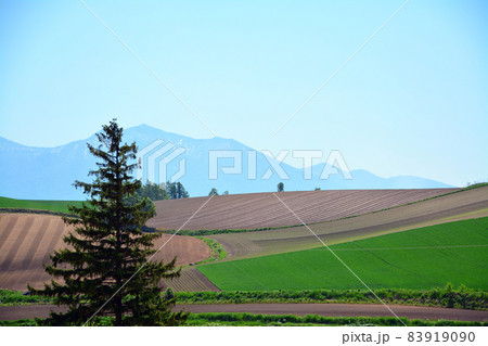 富良野の雄大な大地 83919090