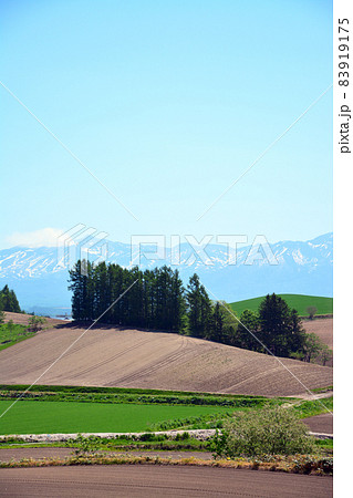 富良野の雄大な大地 83919175