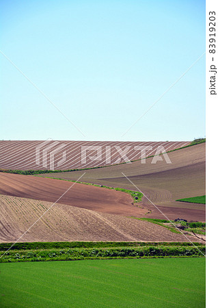 富良野の雄大な大地 富良野の雄大な大地 83919203