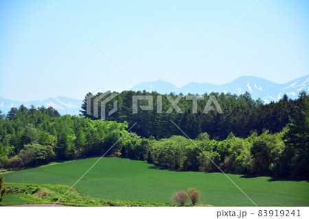 富良野の雄大な大地 富良野の雄大な大地 83919241