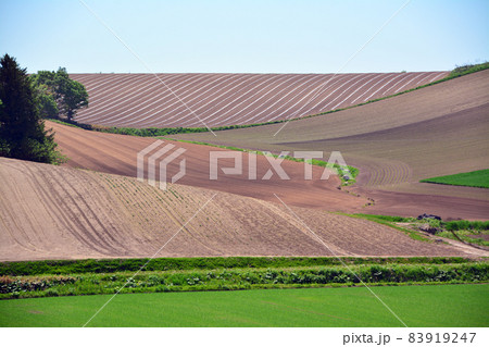 富良野の雄大な大地 富良野の雄大な大地 83919247