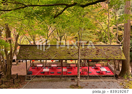 高雄　神護寺 83919267