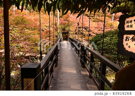 高雄 神護寺 高雄 神護寺 83919268