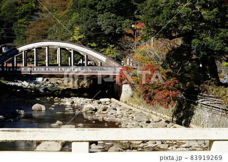 神奈川県足柄下郡箱根町の須雲川周辺の紅葉の風景 神奈川県足柄下郡箱根町の須雲川周辺の紅葉の風景 83919269