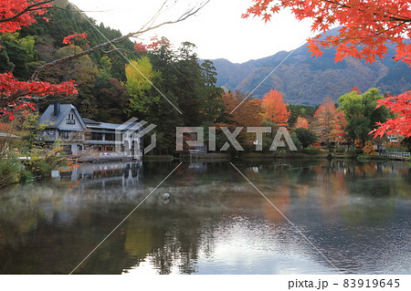 錦秋の由布院Ⅲ(湯けむり漂う金鱗湖) 錦秋の由布院Ⅲ(湯けむり漂う金鱗湖) 83919645