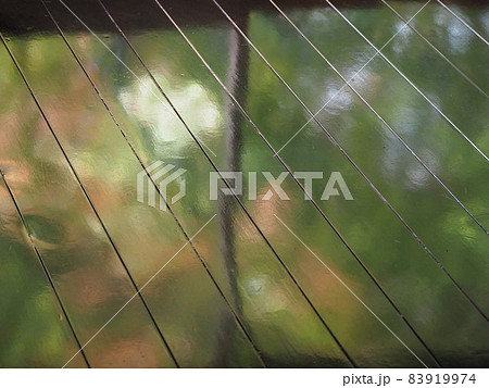 瑠璃光院 瑠璃光院 83919974