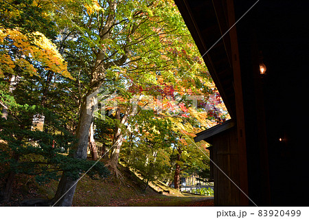 紅葉期の旧島松駅逓所(内外観) 紅葉期の旧島松駅逓所(内外観) 83920499