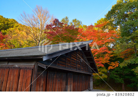 紅葉期の旧島松駅逓所(内外観) 紅葉期の旧島松駅逓所(内外観) 83920802