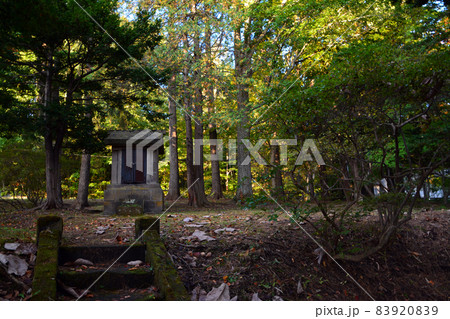 初秋の美しき旧島松駅逓所（内外観） 83920839