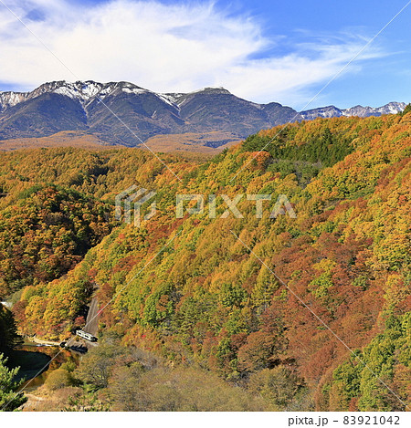 紅葉の小海線と冠雪の八ヶ岳 83921042