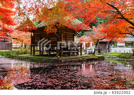 中尊寺紅葉と水鏡の弁財天堂 中尊寺紅葉と水鏡の弁財天堂 83922002