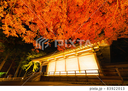 中尊寺ライトアップされた紅葉につつまれた金色堂覆堂 83922013
