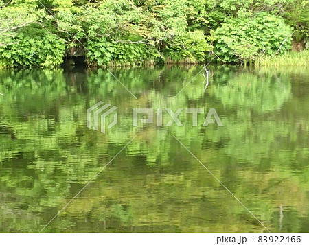鳥海山の鶴間池にそそぐ湧水の渓流上部 鳥海山の鶴間池にそそぐ湧水の渓流上部 83922466
