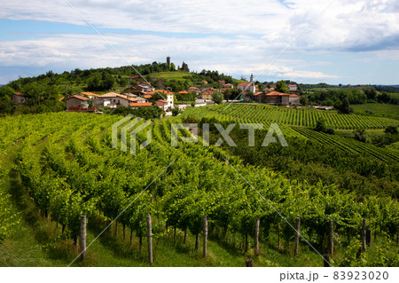 Smartno medieval village in Goriska Brda region, Slovenia. 83923020