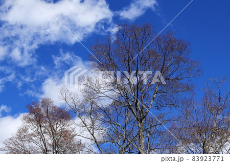 日本・秩父の風景 日本・秩父の風景 83923771