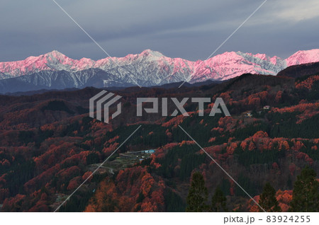 降雪した北アルプスの朝焼け 降雪した北アルプスの朝焼け 83924255