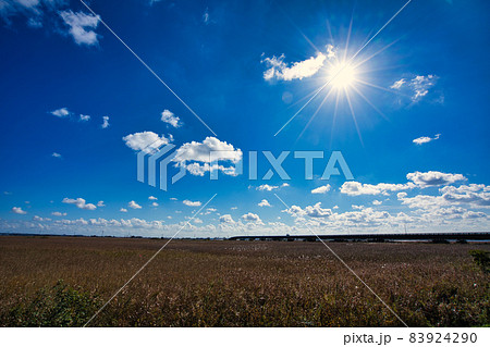 霞ヶ浦浮島湿原に架かる稲敷大橋 83924290