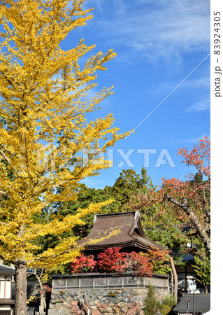 高野山 六時の鐘(紅葉) 【和歌山県伊都郡高野町】 高野山 六時の鐘(紅葉) 【和歌山県伊都郡高野町】 83924305