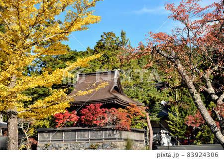 高野山　六時の鐘(紅葉)　【和歌山県伊都郡高野町】 83924306