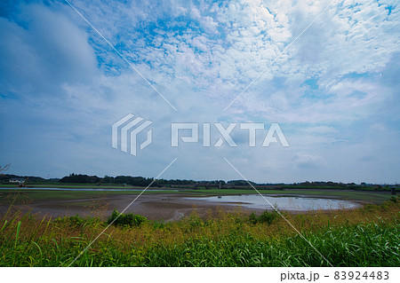 水鳥が集まる場所 水鳥が集まる場所 83924483