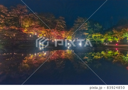 秋の夜にライトアップされた日本庭園の風景 秋の夜にライトアップされた日本庭園の風景 83924850