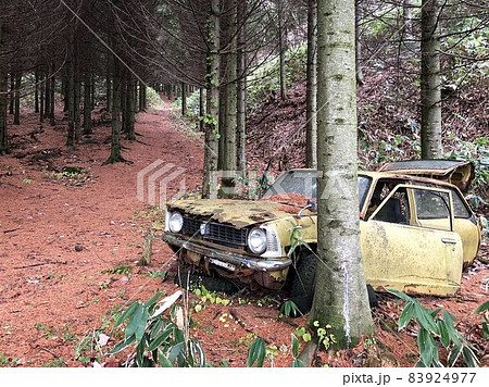 朽ち果てた車 朽ち果てた車 83924977