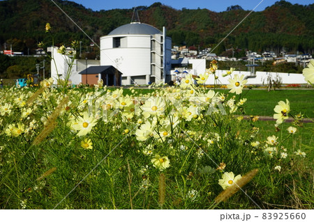 山田町の船越公園 83925660