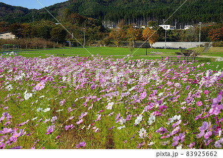 山田町の船越公園 83925662