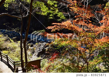 群馬県みどり市大間々町　高津戸峡遊歩道と紅葉 83925871