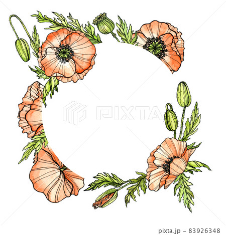 Red poppy card. Watercolor and ink outline. Wildflowers chaplet illustration. 83926348
