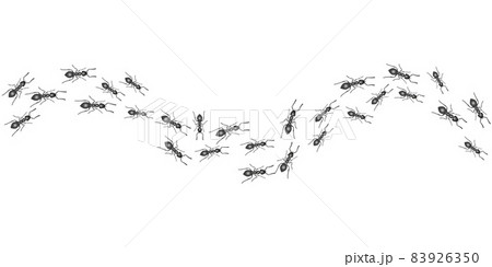 A trail of ants. Insects march along the line. Vector 83926350