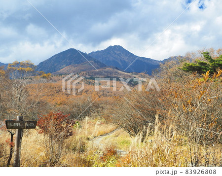 山梨県　美しの森　紅葉　11月 83926808