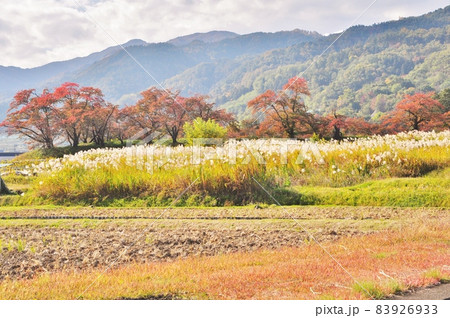 里の秋 里の秋 83926933