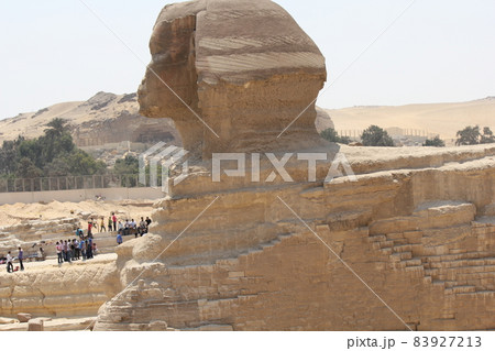 スフィンクス スフィンクス 83927213