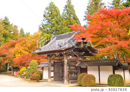 龍洞院の紅葉した山門と塀 龍洞院の紅葉した山門と塀 83927839